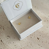 LITTLE OCEAN ~ EARRINGS
