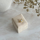 INA  ~ RING