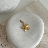 PRETTY SEASTAR ~ CHARM