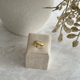 CHUNKY CLOVER ~ RING