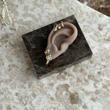 SIERRA | EARRINGS 