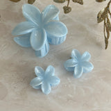 BABY BLUE SET ~ HAIRCLIP
