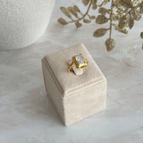 INA  ~ RING